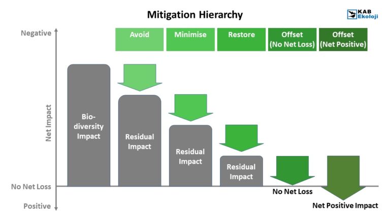 Mitigation Hierarchy: Implementation for Wind Farms - KAB Ecology